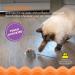 Petstages Squeak Squeak Mouse Plush Catnip Cat Toy - Buy Online on SooperMarket.com