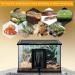 FIPASEN Reptile Heating Mat with Temperature Adjustment 8x12 Inch Terrarium Heat Mat for Tortoise/Snakes/Lizard/Gecko/Hermit Crab/Frog/Spider/Insect Breeding/Plant Box - Upgraded Reptile Heating Pad 8" X 12" with Adjust Knob - Buy Online on SooperMarket.com