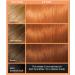 L'Or al Paris Colorista Permanent Gel Hair Dye - Copper | Long-Lasting Vibrant Color with High-Intensity Hues for Up to 3x More Shine - Buy Online on SooperMarket.com