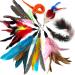 onebarleycorn Cat Toys Feather Refills for Cat Wand Toys Interactive include Replacement Feathers 1 Count (Pack of 1)