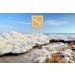 Buy H&B Exfoliating Body Scrub with Dead Sea Minerals (Rose) - Soft Scrub for Radiant Skin | International Shipping Available - Buy Online on SooperMarket.com