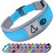 Joytale dog collar softly padded neoprene collars for small dogs nylon reflective wide collar dog baby blue s (1 Pack) baby blue