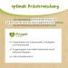 Pregnivital Puerperium Tea - 100% Organic Herbal Blend for Postpartum Recovery - Essential Female Mantle Yarrow & Shepherd's Whitewash - 15 Tea Bags - Buy Online on SooperMarket.com