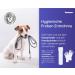 Vetasan 2x Giardia Quick Test for Dogs & Cats | Accurate & Fast Giardia Testing | 98.3% Accuracy - Buy Online on SooperMarket.com