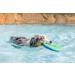 Chuckit! Zipflight Frisbee Dog Toy - Durable Fetch Toy for Dogs | Medium Size - Buy Online on SooperMarket.com