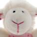 SIGIKID 41189 Rattle Sheep - Red Stars Baby Toy | Soft Pink & Safe for Newborns | Ideal for Boys & Girls - Buy Online on SooperMarket.com