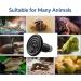 Caldarax 2 Pack 150W Terrarium Reptile Heat Bulb E27 Infrared Ceramic Heating Lamps AC 220-240V Ceramic Heat Emitter for Reptiles Lizards Tortoise Snakes Chicken - Buy Online on SooperMarket.com