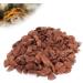 Buy Bark Litter for Reptiles - Natural Wood Granules Substrate for Turtles Lizards & Snakes | Eco-Friendly Breeding Box - Buy Online on SooperMarket.com