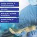 Surgical Gloves - Medium Powder Free Sterile Latex Disposable (50 Pairs) - Meditrade Gentle Skin Superior OP 6.5 - Buy Online on SooperMarket.com