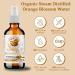 Bella Terra Oils Orange Blossom Water - 1 Gallon Neroli Hydrosol for Radiant Skin & Natural Aroma | Pack of 10 - Revitalize & Glow - Buy Online on SooperMarket.com