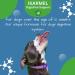 Doggy Dailies Probiotics for Dogs - Canine Supplements for Digestive and Immunity Support - Skin Health and Itch Support - Vitamin Treats - Veterinarian Formulated Probiotic 180 Count (Pack of 1) - Buy Online on SooperMarket.com
