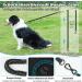 Buy Aystkniet 20m Reflective Bungee Leash for Large Dogs (Up to 80kg) - Padded Handle Lockable Hook - Durable Day & Night Walking Leash - Blue - Buy Online on SooperMarket.com
