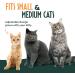 Adjustable Cat Harness and Lead Set - Escape Proof and Safe Design for Kittens - UK Universal Size Cat Leash - Buy Online on SooperMarket.com