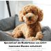 Moki B r Dog Shampoo with Argan Oil | Smooth Fur & Easy Combing | Made in Germany 250ml | International Shipping - Buy Online on SooperMarket.com