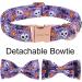 Shop Cute Pumpkin Dog Collar - Halloween Pet Accessories | Skull & Bat Design - Small Size - Perfect for Spooky Season! - Buy Online on SooperMarket.com