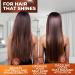 Moroccan Argan Oil Shampoo - Sulfate Free Hydrating Anti-Frizz Care for All Hair Types | Deep Moisturizing Treatment for Color Treated & Damaged Hair - Buy Online on SooperMarket.com