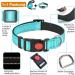Haapaw Reflecting Dog Collar - Padded Soft Neoprene Breathable Nylon for Small to Medium Dogs - Turquoise (1-Pack) - Buy Online on SooperMarket.com