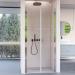 Shower door with two salon doors made of transparent glass H195 6 mm DOBLA - 100