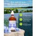 Buy Wolfsbach Organic Linseed Oil for Dogs & Cats - 500ml Cold Pressed Omega 3 & 6 - 100% Organic from Germany - BARF & Feed Oil De- ko-060 - Buy Online on SooperMarket.com