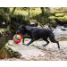 Chuckit! Large Regular Glow Ball - Bright and Durable Fetch Toy - Buy Online on SooperMarket.com