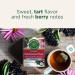 Traditional Medicinals - Organic Echinacea Plus Elderberry Herbal Tea (Pack of 6) - Help Fight off Respiratory Tract Infections - 96 Tea Bags Total Echinacea Plus Elderberry 16 count (Pack of 6) - Buy Online on SooperMarket.com