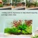 Miukada 3.3 Pounds Coarse Silica Sand  Mini Natural Top Dressing Sand  Mix Plant Soil Cover for Bonsai  Succulent and Cactus|Terrarium  Aquariums and Vase(3.3lb) 3.3lb Silica Sand 0.3-0.5cm 3.3lb Silica Sand 0.3-0.5cm 1 - Buy Online on SooperMarket.com