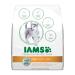Iams Premium Protection Puppy Dry Dog Food 11-Pound 4.99 kg (Pack of 1)
