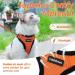 Rabbitgoo Cat Dishes & Adjustable Breakage-Proof Cat Harness Set - Orange M (1 Pack) for International Shipping - Buy Online on SooperMarket.com