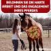 Buy EGGERSMANN Horse Food 1kg - Delicious Natural Fruit & Vegetable Treats for Horses & Ponies | Perfect Reward & Snack | Premium Horse Accessories - Buy Online on SooperMarket.com