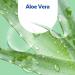 Sagrotan No-Touch Aloe Vera Refill - 5x250ml Hand Soap for Automatic Dispenser | International Shipping - Buy Online on SooperMarket.com