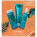Framesi Morphosis SUN Shampoo - Deep Cleansing Chlorine Removal & Hydration | Natural Color Safe Hair Care for All Hair Types - Buy Online on SooperMarket.com