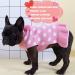 KYEESE Polka Dot Pink Dog Sweater Dress with Leash Hole - Knit Warm Clothes for Small Dogs - Fall/Winter Stylish Pet Apparel (Pack of 1) - Buy Online on SooperMarket.com