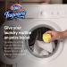 Clorox Fraganzia In-Wash Scent Booster Crystals - Vanilla Scent 18oz Twin Pack | Laundry Scent Booster for Freshness | 36oz Total - Buy Online on SooperMarket.com