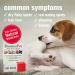 HomeoPet Hot Spots 15ml: Soothing Relief for Pets' Skin Irritations - Buy Online on SooperMarket.com