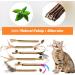 Zuimei 6 Pack Silvervine Chew Sticks Kitten Teething Toys Natural Cat Teeth Nip Cleaning Teeth Chew Catnip Toys with Bells and Feathers for Cat Teeth Cleaning Kitten Teething and Stress Release - Buy Online on SooperMarket.com