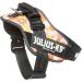 IDC Powerharness XL/2 - Pink with Flowers | International Shipping Available - Buy Online on SooperMarket.com