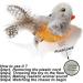Vealind Interactive Cat Toy 2 Pack - Electronic Bird & Mouse with Sound | Ideal for Cats | Best Quality Pet Toys - Buy Online on SooperMarket.com