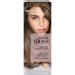 L'Oreal Paris Le Color Gloss One Step In-Shower Toning Hair Gloss, Neutralizes Brass, Conditions & Boosts Shine, Smoky Bronde, 4 Ounce