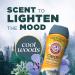 Shop Arm & Hammer In-Wash Scent Booster - Cool Woods 24oz | Enhance Your Laundry with Long-Lasting Freshness | International Shipping Available - Buy Online on SooperMarket.com