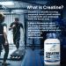 CONFIDENT SPORTS Creatine Supplement Capsules - 100% Pure Creatine HCL - Boosts Power Strength Muscle Mass Muscle Recovery Supplement - Pharmaceutical Grade Creatine Pills - 120 Count - 60 Servings 1 count (Pack of 1) - Buy Online on SooperMarket.com