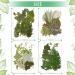 TimTin 84 Pieces Dried Leaves and Flowers Resin Craft Kit - Assorted Greenery for DIY Handmade Bookmarks - Vivid Style - Buy Online on SooperMarket.com