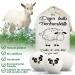 Maisitoo 100% Wool Dryer Balls - Natural Fabric Softener Reduces Wrinkles Antistatic 6 Reusable Tumble Dryer Balls for Faster Drying - Buy Online on SooperMarket.com