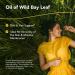 North American Herb & Spice Wild Oil of Bay Leaf 1 fl oz - Organic Non-GMO Skin & Hair Support - 286 Servings - Buy Internationally - Buy Online on SooperMarket.com