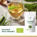 Horsetail Tea Organic 100g (50 Cups) | Horsetail Organic Herbal Leaf Tea | Equisetum Arvense REPLANTEA - Buy Online on SooperMarket.com