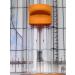 Fiskars SureCut Portable Paper Trimmer  12 Inch Cut   Orange - 154450-1009 - Buy Online on SooperMarket.com
