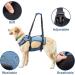 COODEO Adjustable Dog Lifting Harness - Breathable Support & Recreation Loops for XXL Pets - Ideal for Rehabilitation & Disabled Dogs - Buy Online on SooperMarket.com