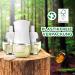 Air WICK Fragrance Oil Duo - Summer Pleasure Fruity Fresh Room Fragrance | Eco-Friendly Plastic-Free Packaging - 2 Pieces - Buy Online on SooperMarket.com