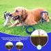 JETOP Heavy Duty Dog Stake & 10 ft Dog Chains Steel Spiral Ground Dog Spike for Outdoor Yard and Camping Dog Camping Accessories for Puppy Pet and Medium Dogs (176 lbs of pull) (Blue) - Buy Online on SooperMarket.com