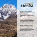 Herba L-Glutamine Capsules 750mg 180 Vegetable Capsules | 3 000mg Per Serving | Free Form L Glutamine Supplement | NPN from Health Canada | Made & 3rd Party Tested in Canada - Buy Online on SooperMarket.com