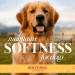 Burt's Bees for Puppies Double Sided Comb | 2-in-1 Grooming Tool for Puppies & Small Dogs | Dog Comb Removes Fleas & Flea Eggs Comfortably and Safely for All Dogs Gold 1 - Pack Double Sided Comb - Buy Online on SooperMarket.com